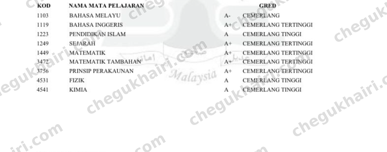 SPM 2024 - SPM result slip: A+ in Add Maths and A+ in Mathematics, nine subjects.