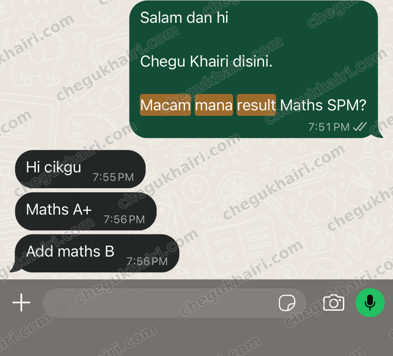 SPM 2024 - Mathematics A+ and Add Maths B.
