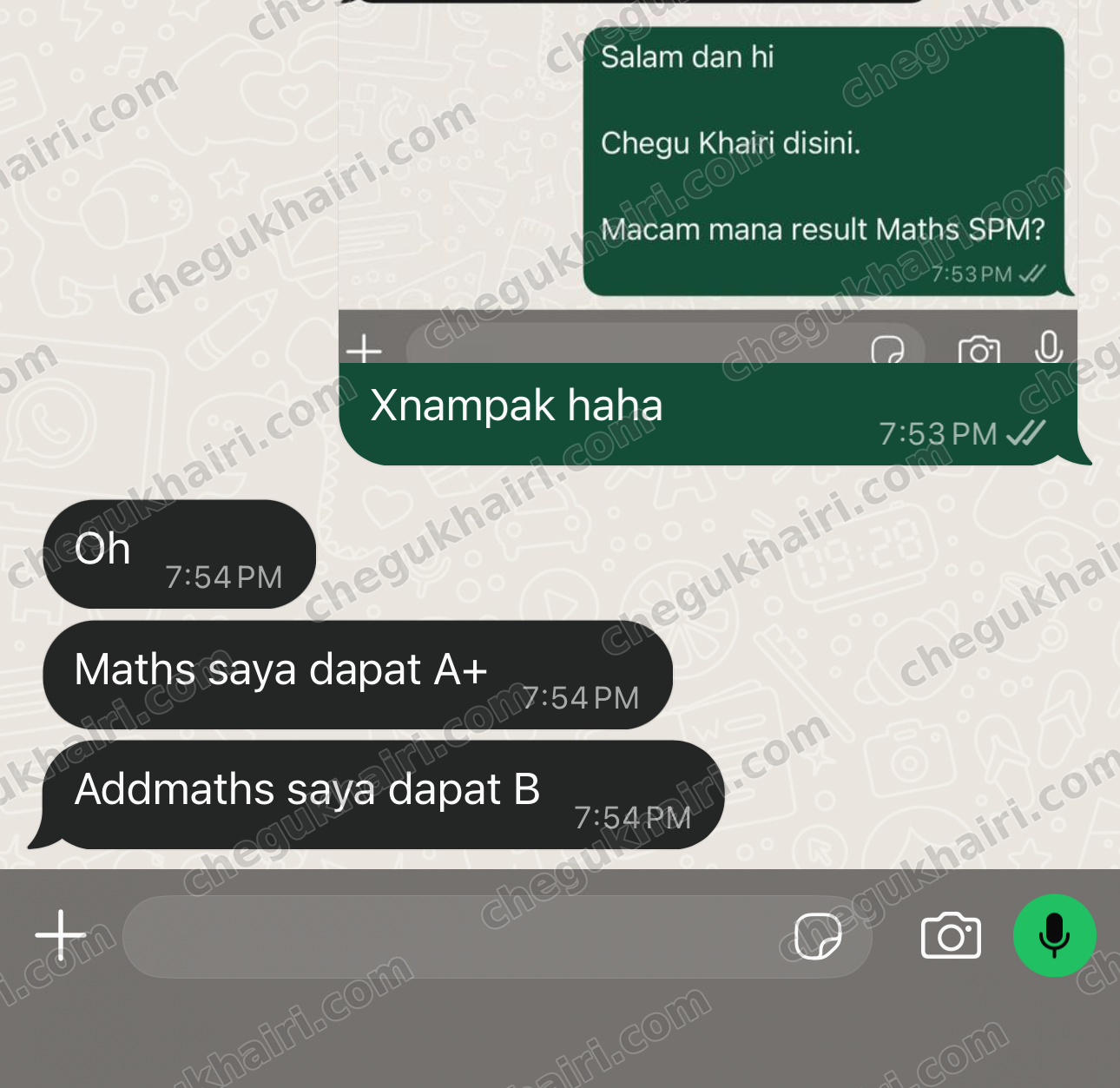 SPM 2024 - Mathematics A+ and Add Maths B.