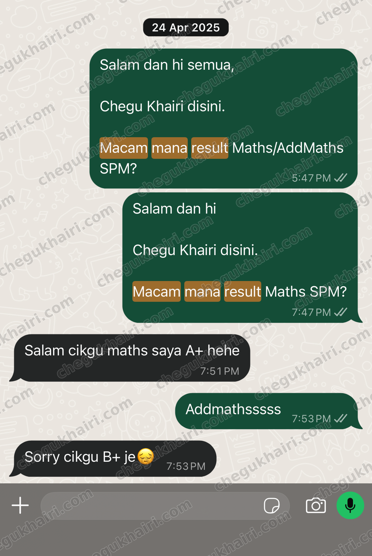SPM 2024 - Mathematics A+ and Add Maths B+.