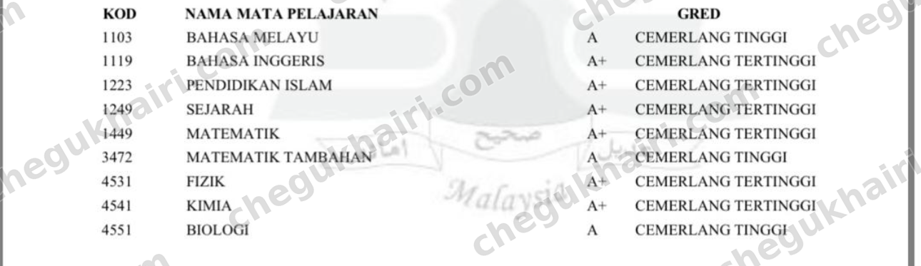SPM 2025 - SPM result slip: A+ in Mathematics and A in Add Maths.