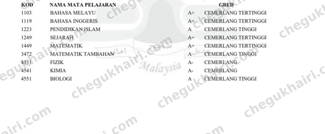 SPM 2025 - SPM result slip: A+ in Mathematics and A in Add Maths.